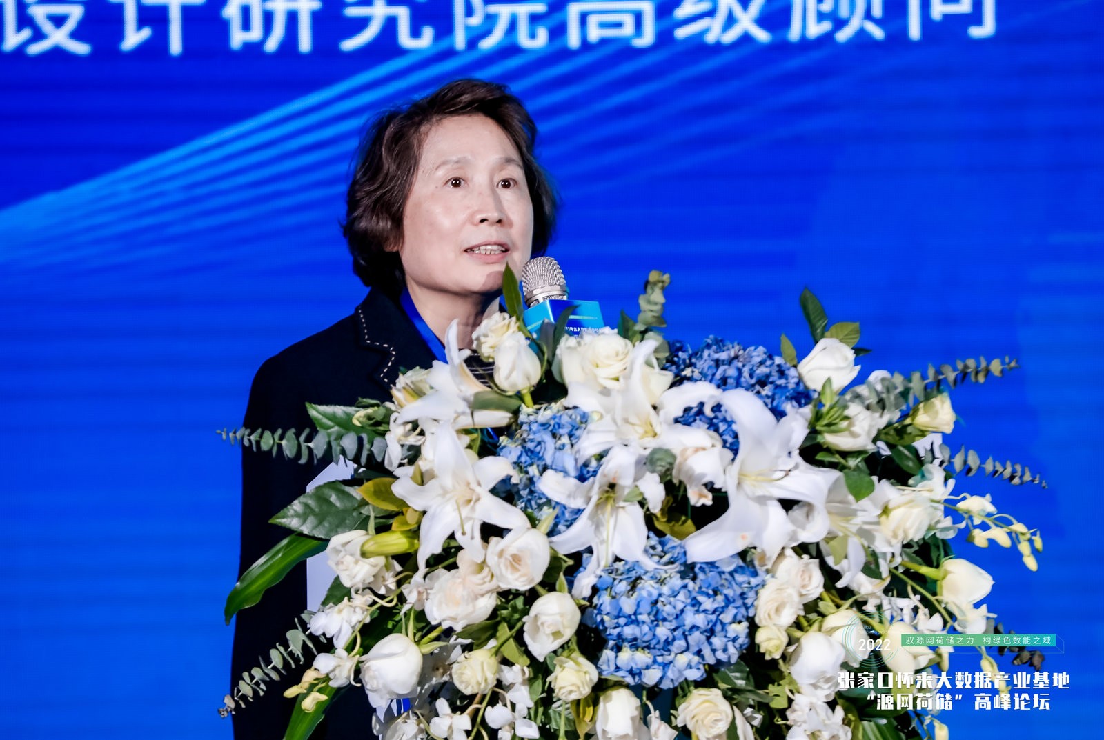 張家口懷來大數據產業基地:馭源網荷儲之力 構綠色數能之域
