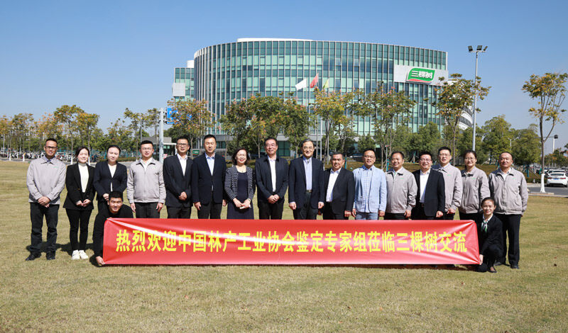 中國林產(chǎn)工業(yè)協(xié)會鑒定專家組蒞臨交流