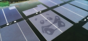 中國正處在一個從補貼驅動下的市場向 “電網平價”和“獲得上網電價支持”項目轉型的階段。自2021年起，中國將最終進入無補貼市場期。